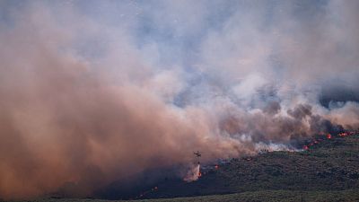 Programación especial este viernes en RTVE con la última hora de los incendios que asolan España