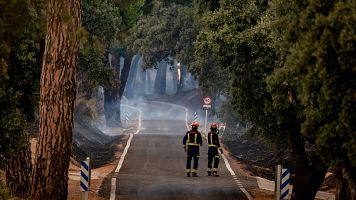 La UME unifica bajo el mismo mando operativo los incendios de Madrid y Ávila, que han arrasado ya 25.000 hectáreas