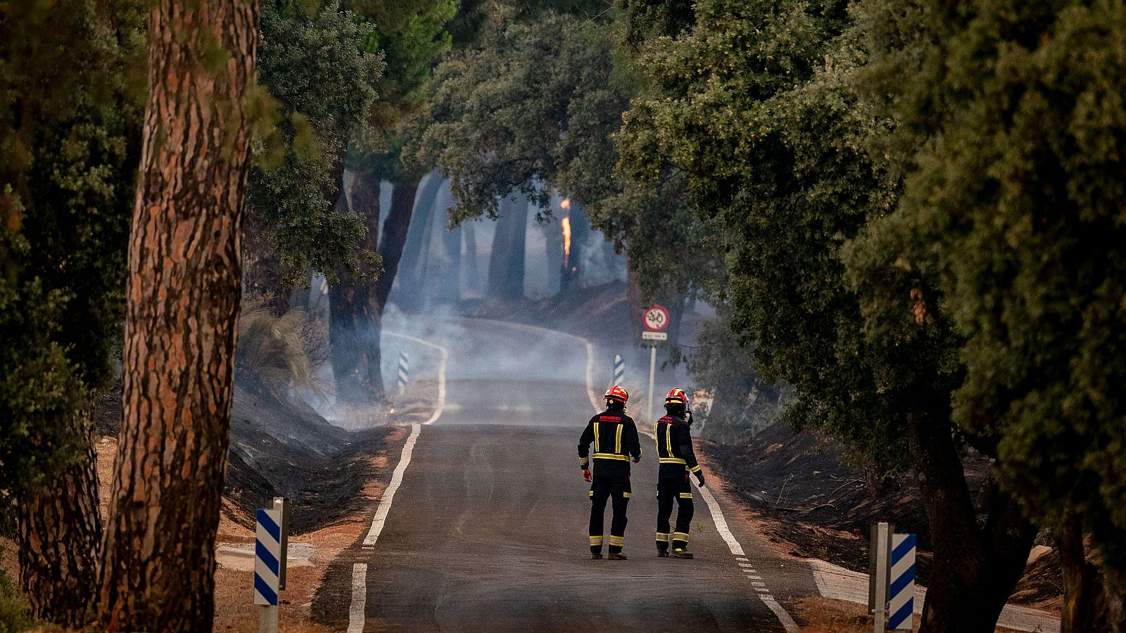Los incendios de Ávila y Madrid se unifican bajo un mando único y la emergencia nacional se extiende a Toledo