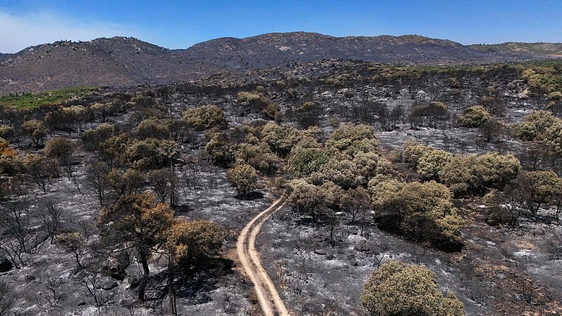 Los incendios en Madrid y Ávila enfrentan dos días críticos ante la llegada de una ola de calor a partir del miércoles