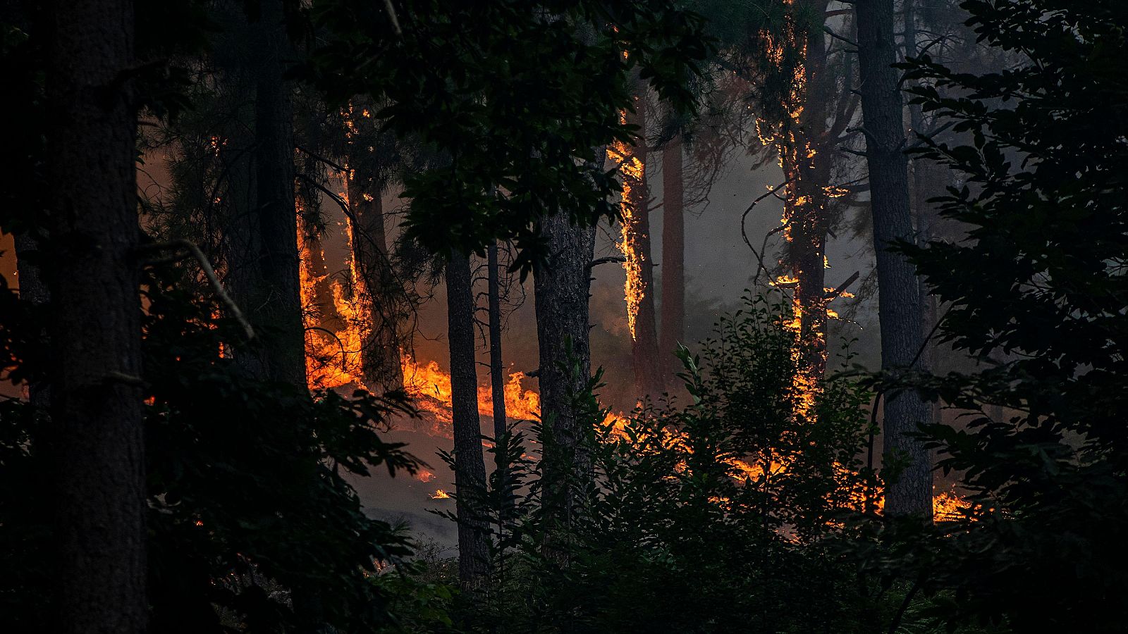 El incendio de Ávila, el mayor de la historia de España