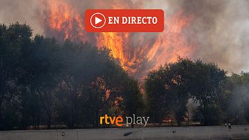 Última hora de los incendios en Madrid, Ávila, Toledo y Castellón, en directo hoy | Confinan dos nuevas localidades en Madrid y Ávila
