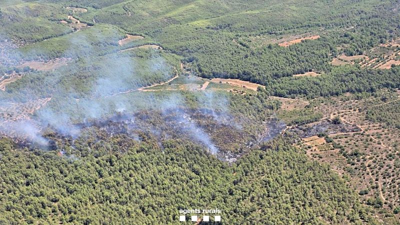 Estabilitzats tres incendis simultanis a Masllorenç, Canyelles i Os de Civís