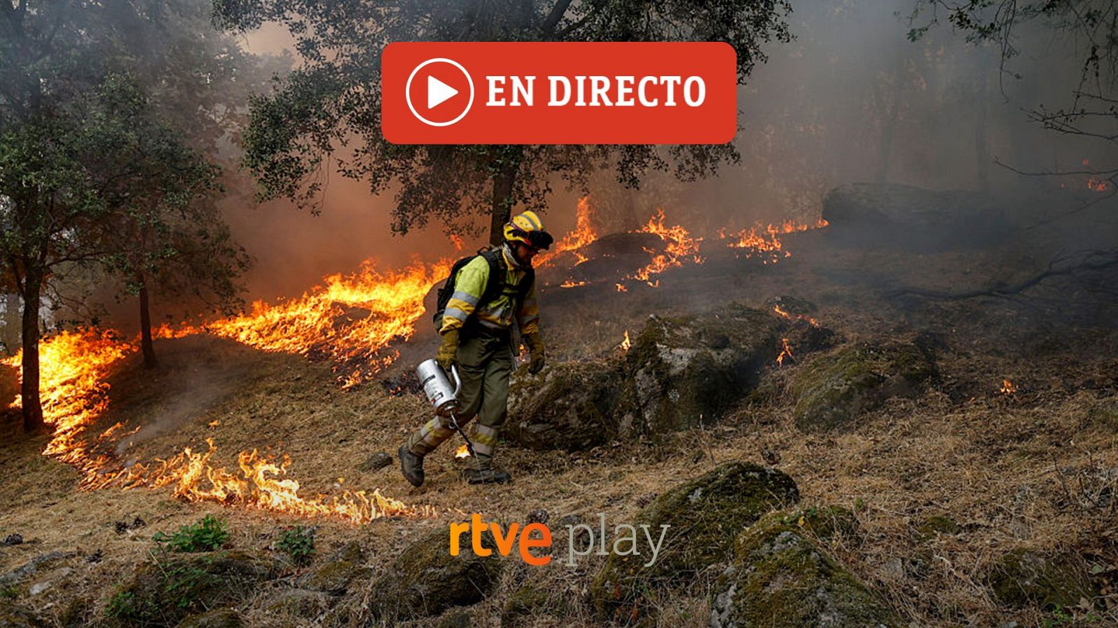 iRTVE14 LIVE