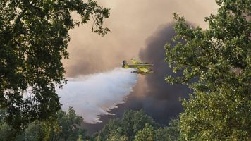 Las llamas se ceban con Castilla y León, que sufre nuevos incendios activos, cinco de nivel máximo en Zamora y León