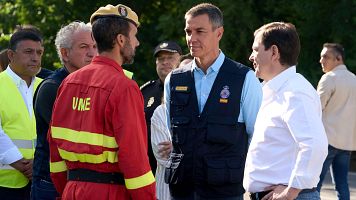 Sánchez anuncia el fin de la emergencia nacional tras la mejora de los incendios en Ávila y Madrid