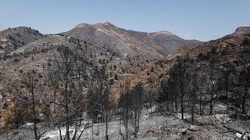 El incendio de Castellón está estabilizado tras calcinar más de 9.500 hectáreas y permite el regreso de 2.800 vecinos