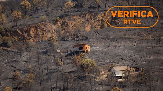 El abandono rural y el cambio clim�tico explican la virulencia de los incendios actuales