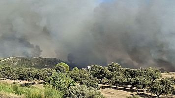Un incendio en Cáceres obliga a evacuar a 800 vecinos de Grimaldo y Casas de Millán