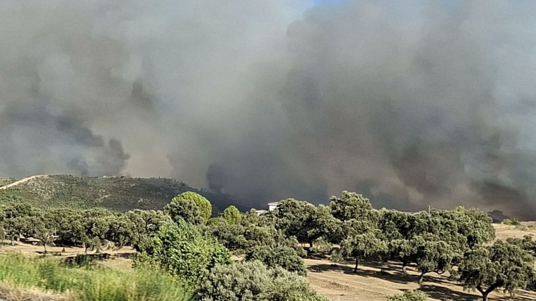 Un cami�n incendiado en la Autov�a de la Plata ha provocado un incendio forestal en C�ceres