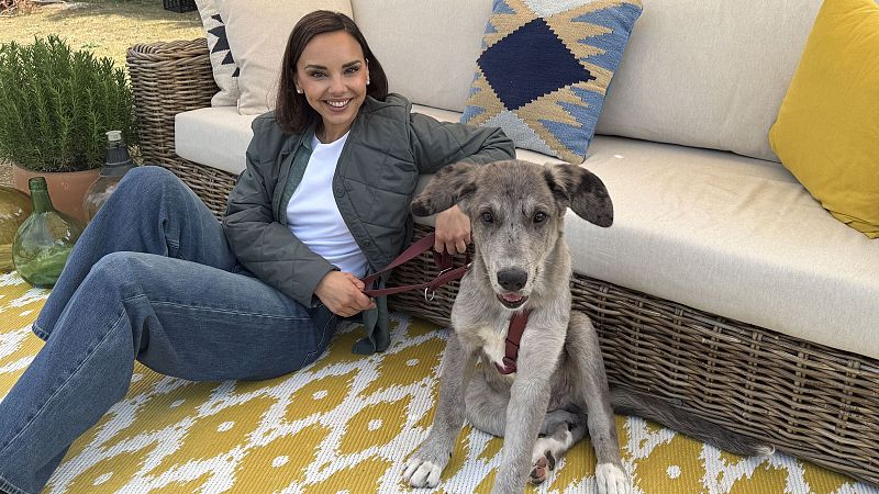 La Selección femenina de fútbol compartirá en 'Dog House' su amor por los perros