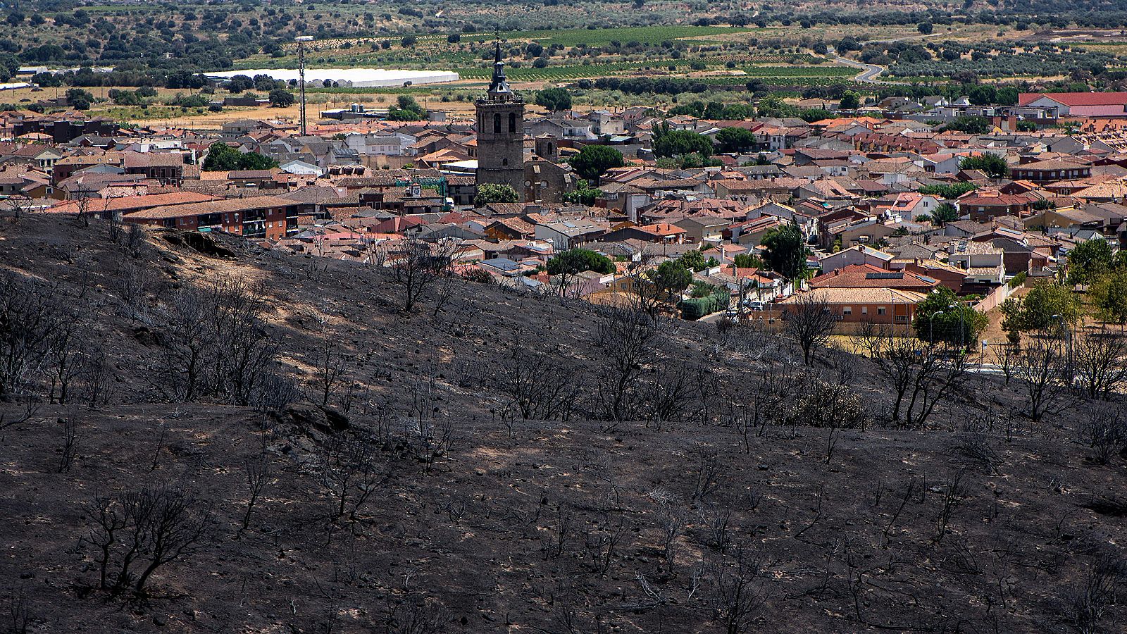 Zonas calcinadas tras el paso del incendio de la Sierra Oeste de Madrid, a 30 de julio de 2026, en Pelayos de la Presa, Madrid (España).