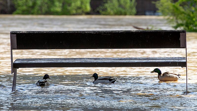 El desbordamiento del Ebro reabre el debate: ¿son necesarios los trasvases?