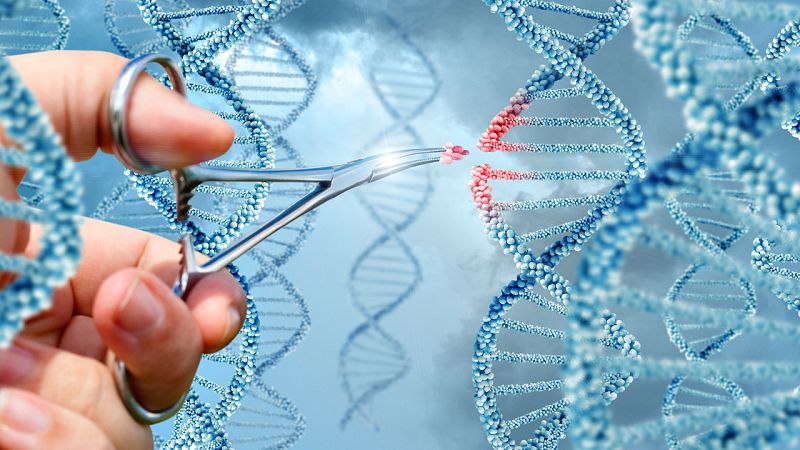 Hallan nuevas alteraciones genéticas del autismo en una parte hasta ahora poco explorada del genoma