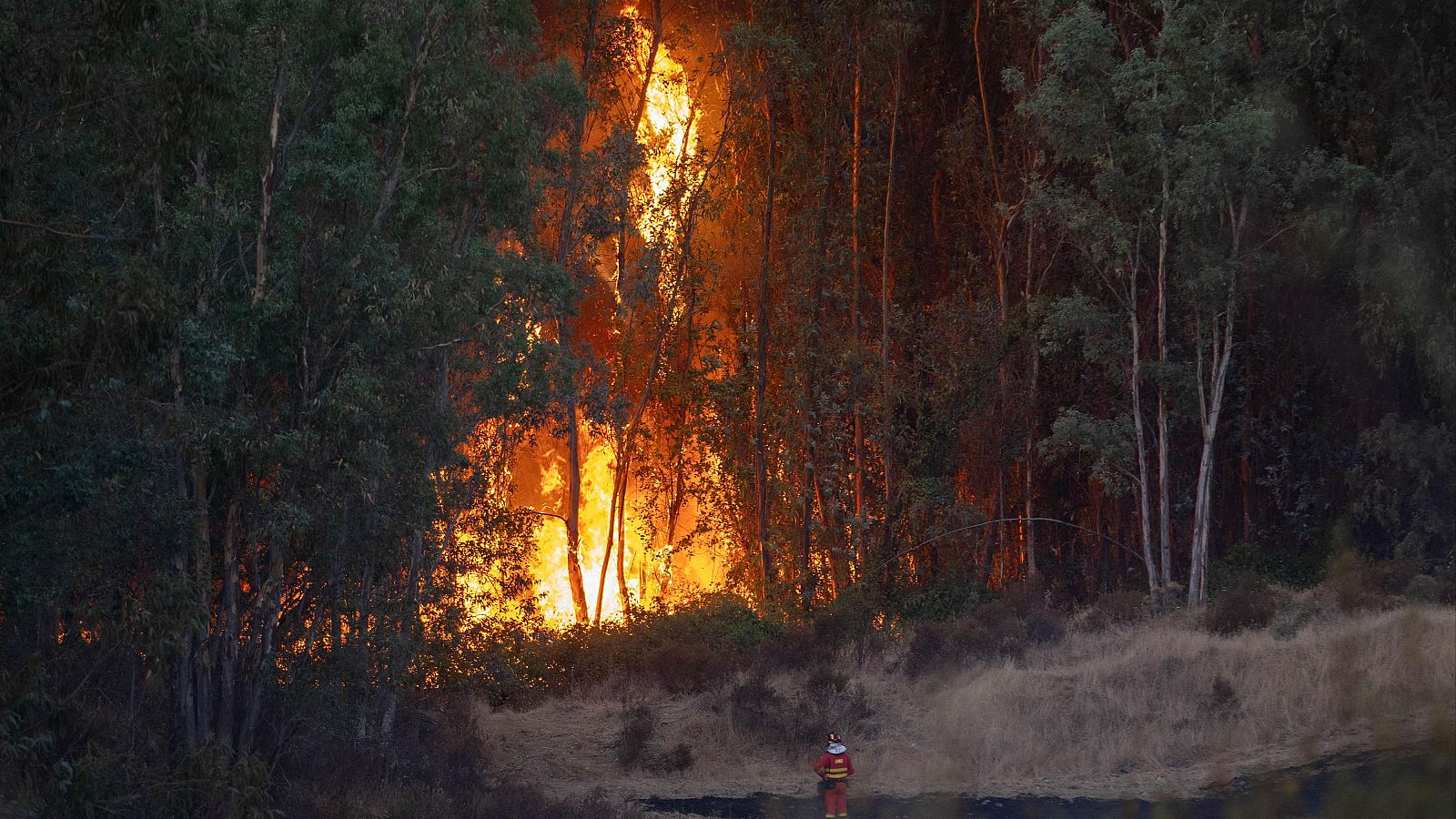 El incendio de Niebla, en Huelva ha quemado ya unas 4.000 hectáreas - Fin de semana 24h | Ver