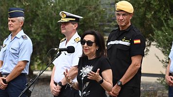 Defensa da luz verde finalmente a la fábrica de coches china en Ferrol