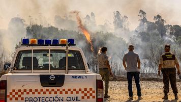 Incendio junto al embalse del Corumbel Bajo en La Palma del Condado, Huelva