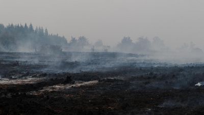 B�lgica se enfrenta al peor incendio de su historia que amenaza con llegar a Alemania