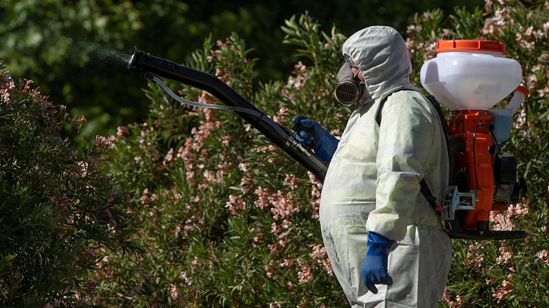 Por qu� el virus del Nilo preocupa cada vez m�s.