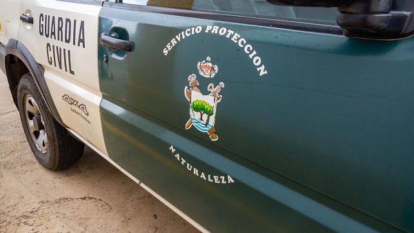 La Guardia Civil despliega un operativo de b�squeda en la provincia de Toledo ante el posible avistamiento de un le�n