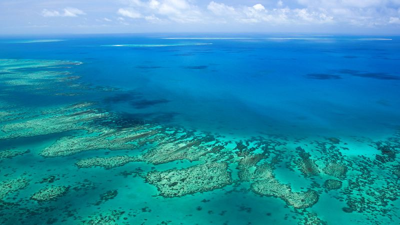 La Gran Barrera de Coral sobrevivirá un siglo antes de sucumbir al cambio climático