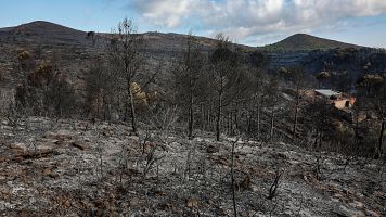 Estabilizado el incendio de Segorbe, en Castellón, que ha afectado a 630 hectáreas