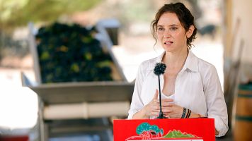 La presidenta de la Comunidad de Madrid, Isabel D�az Ayuso, en rueda de prensa este lunes.