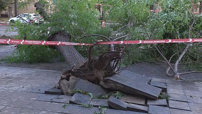 Tarragona i Ponent fan balanç dels danys del temporal