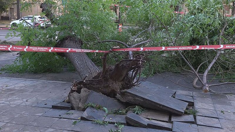 Tarragona i Ponent fan balanç dels danys del temporal