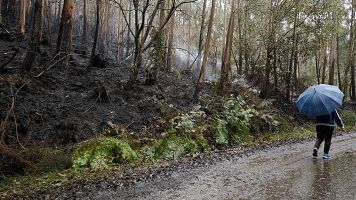Monte quemado en Celeiro de Mari�aos en Barreiros, en la mari�a de Lugo, en 2025