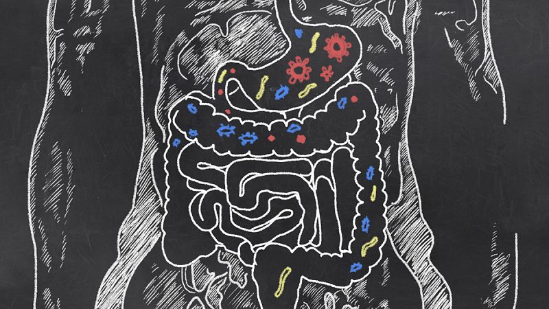 Limpiar el microbioma intestinal podría ayudar a mejorar la insuficiencia cardiaca