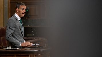 EuropaPress_7746540_presidente_gobierno_pedro_sanchez_interviene_sesion_plenaria_congreso