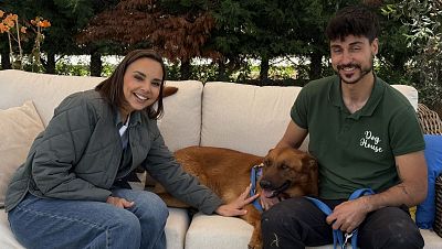 'Dog House' cierra temporada con historias de esperanza y una visita a la Fundación ONCE del Perro Guía