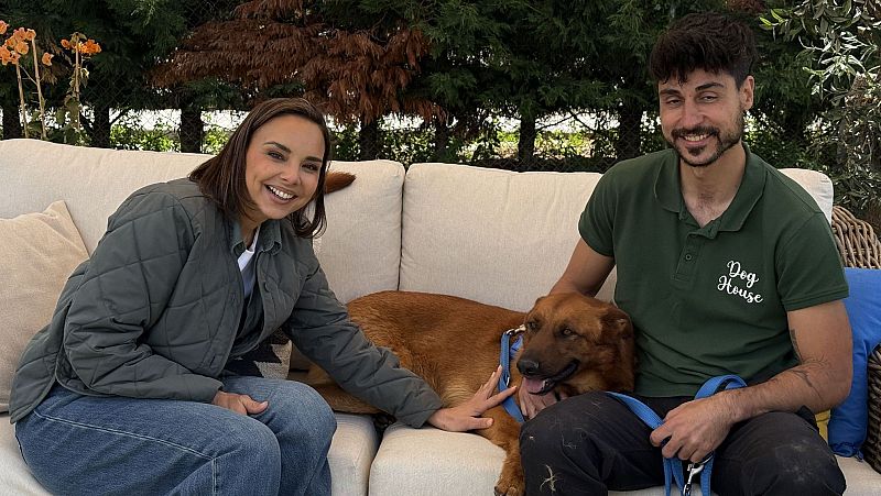 'Dog House' cierra temporada con historias de esperanza y una visita a la Fundación ONCE del Perro Guía