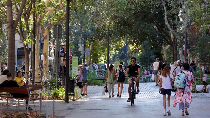 Árboles o bicis: las ciudades españolas no se adaptan al cambio climático lo suficientemente rápido