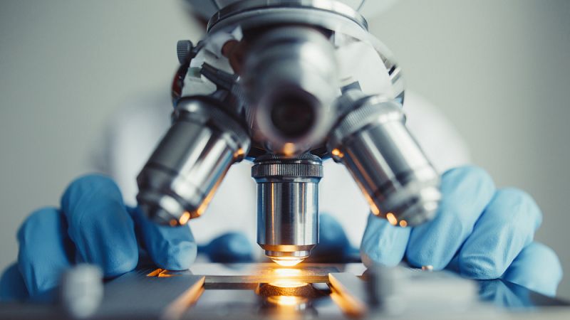 La inmunoterapia mejora notablemente la supervivencia en pacientes con melanoma