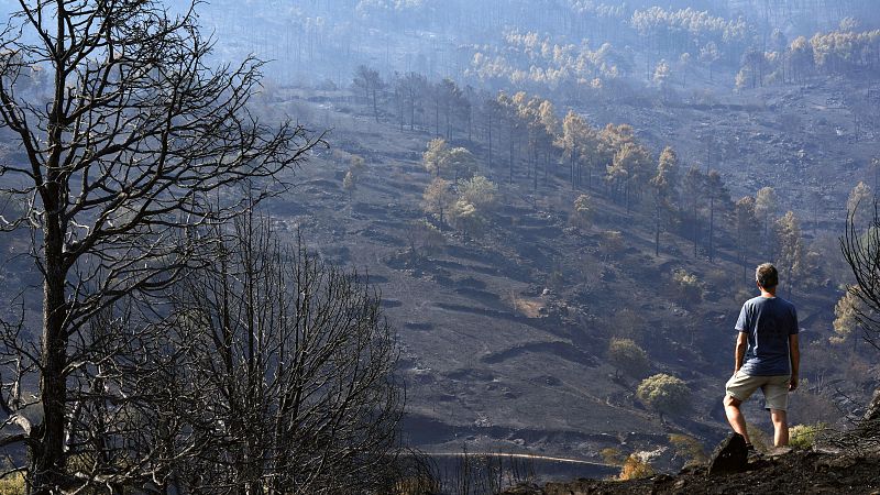 Ocho de cada diez españoles piden un Pacto de Estado para hacer frente a los efectos del cambio climático