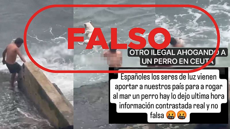 No es un migrante "ilegal" ahogando a un perro en Ceuta, es un video de Perú en abril