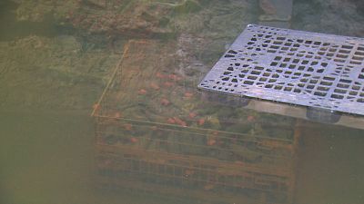 Una cetárea en Comillas reconvertida en una bodega submarina
