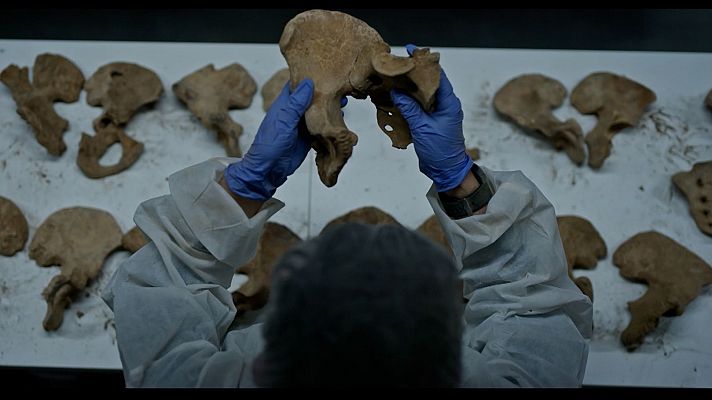 El equipo de forenses trabajando en las criptas de Cuelgamuros