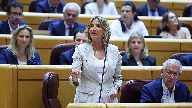El PP cita de nuevo en el Senado a Marlaska, Robles y Albares por la crisis de Ceuta tras su "plantón" en agosto
