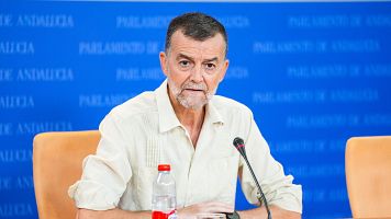 EuropaPress_7778374_portavoz_grupo_parlamentario_andalucia_antonio_maillo_ronda_ruedas_prensa