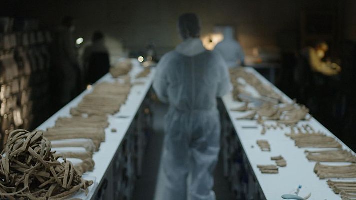 Laboratorio instalado en Cuelgamuros, en la capilla del Santo Sepulcro