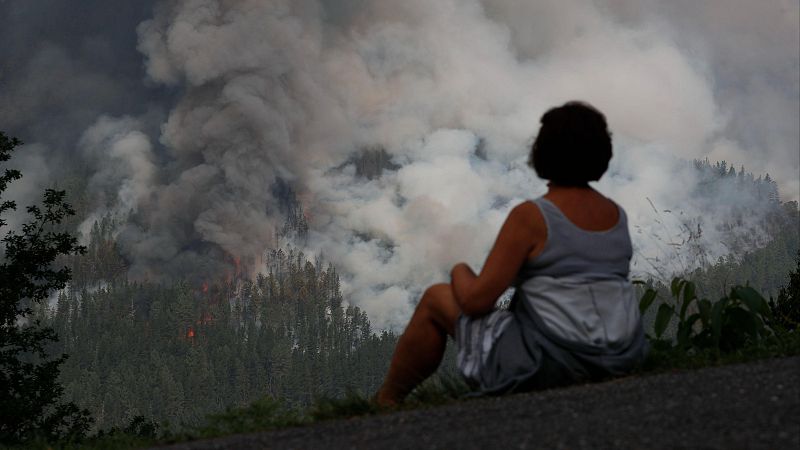 La mitad de los españoles admite que no sabría qué hacer ante un incendio forestal, según el CIS