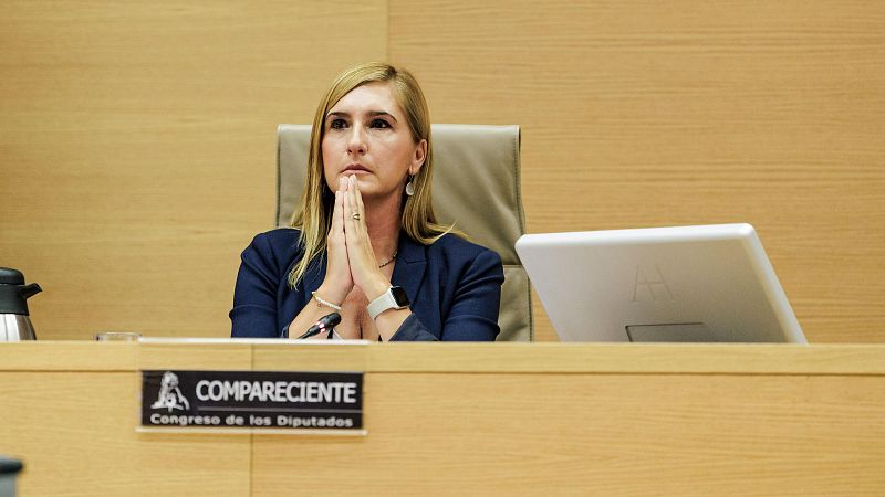 Salom� Pradas, en el Congreso de los Diputados: "No quiero tapar a nadie, quiero que se sepa la verdad"