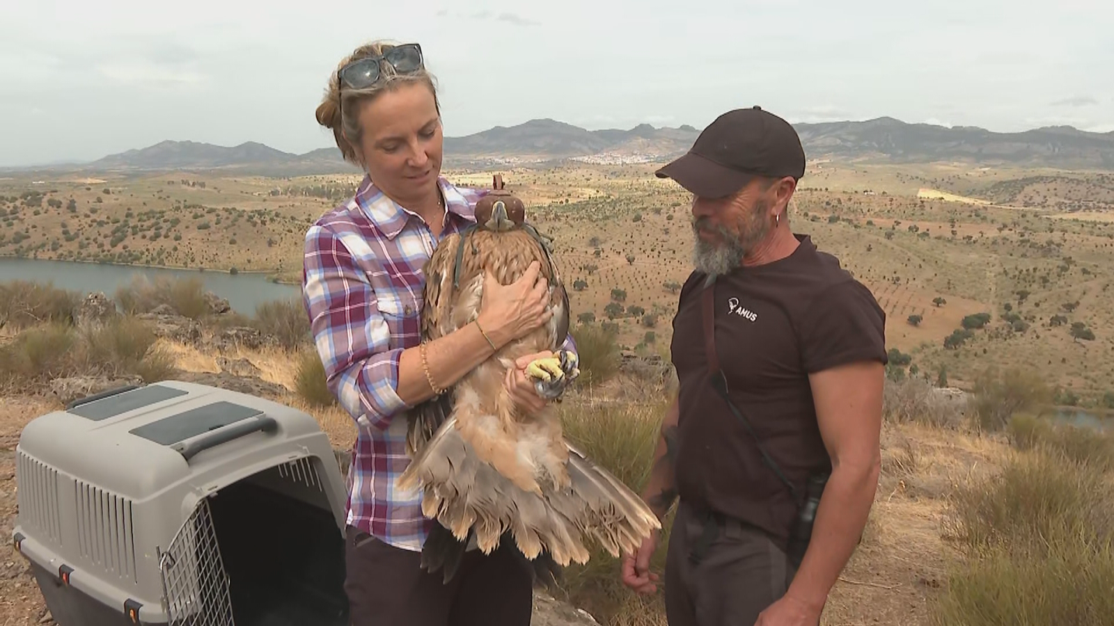Una mujer sostiene un gran águila con caperuza junto a un miembro de AMUS en un paisaje montañoso de Extremadura, con un transportín abierto en el suelo.