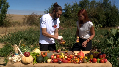 Los tomates premiados de Palencia