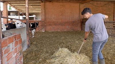 El mayor acto de rebeld�a: quedarse en el campo