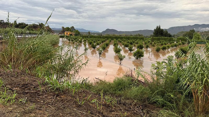 Troben el cos sense vida d'un home en una zona inundada de la C-352, a les Franqueses del Vall�s
