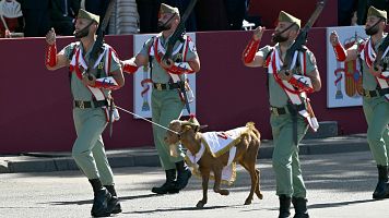 Babieca, mascota de la Legi�n que desfila en la Fiesta Nacional de 2026